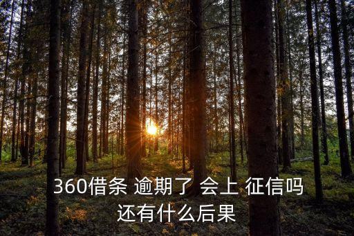  360借條 逾期了 會上 征信嗎還有什么后果