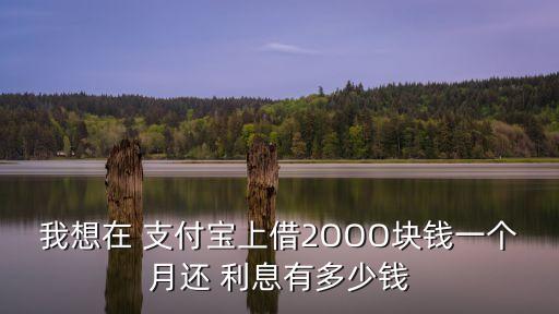 我想在 支付寶上借2OOO塊錢一個月還 利息有多少錢