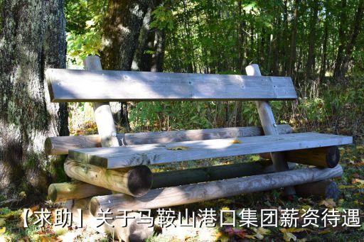【求助】關(guān)于馬鞍山港口集團(tuán)薪資待遇