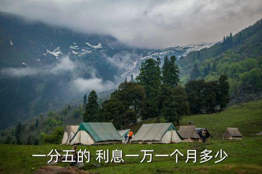 年利1分5的利息是多少,五里利息年利多少