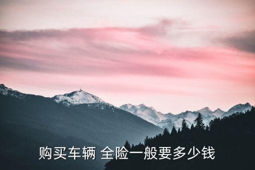 購(gòu)買車輛 全險(xiǎn)一般要多少錢