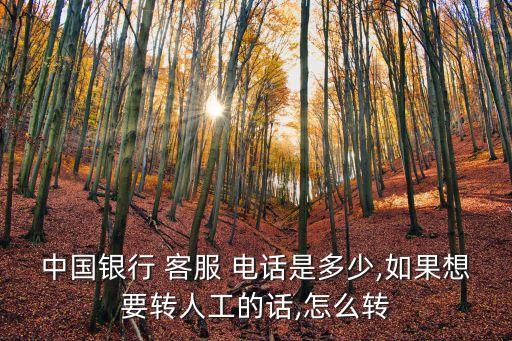 中國(guó)銀行 客服 電話是多少,如果想要轉(zhuǎn)人工的話,怎么轉(zhuǎn)