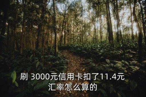 刷 3000元信用卡扣了11.4元匯率怎么算的