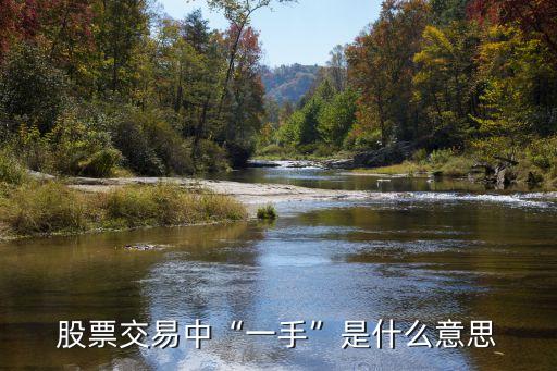 股市中1手是多少股,股市多少手是什么意思