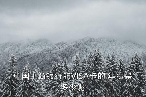 中國工商銀行的VISA卡的 年費是多少呢