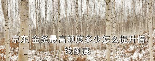 京東 金條最高額度多少怎么提升借錢額度