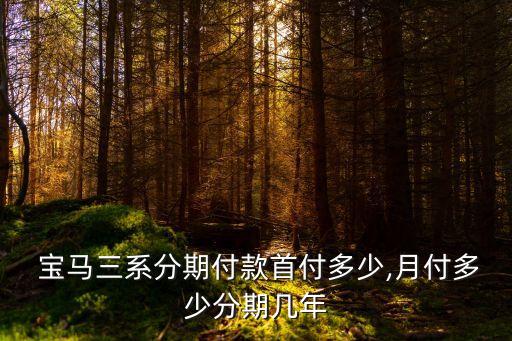  寶馬三系分期付款首付多少,月付多少分期幾年