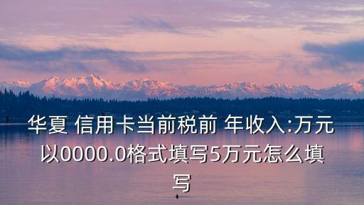 華夏 信用卡當(dāng)前稅前 年收入:萬(wàn)元以0000.0格式填寫(xiě)5萬(wàn)元怎么填寫(xiě)