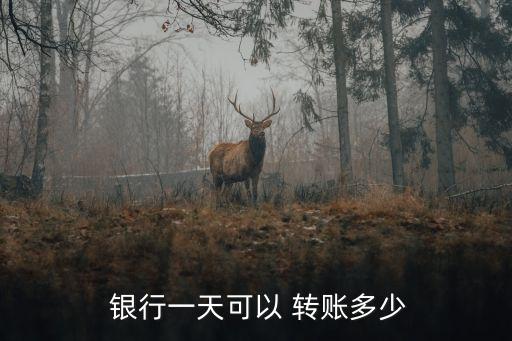  銀行一天可以 轉(zhuǎn)賬多少