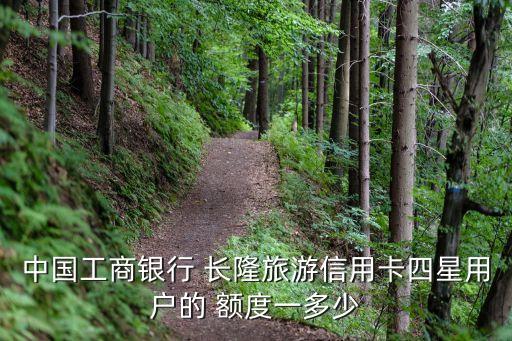 工行長隆金卡多少額度,長隆聯(lián)名visa金卡額度