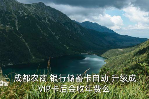 成都銀行多少錢升級vip,多少錢可以升級銀行vip