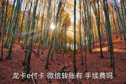 龍卡e付卡 微信轉(zhuǎn)賬有 手續(xù)費(fèi)嗎
