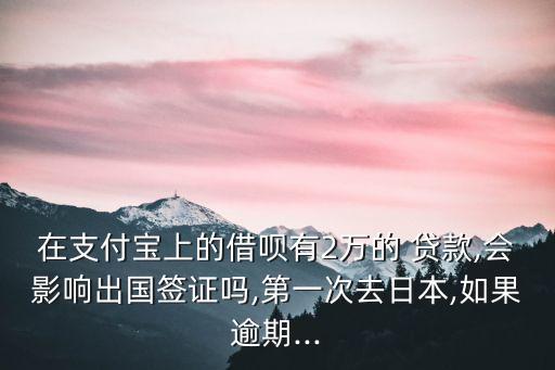 有多少貸款不能出境