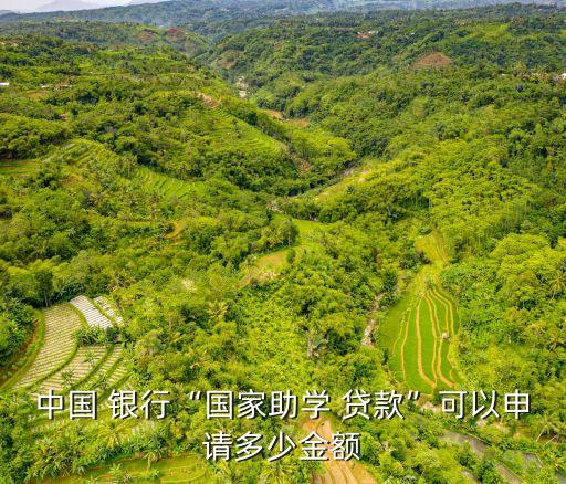 畢業(yè)生銀行貸款最多少錢,大學(xué)畢業(yè)生可以向銀行貸款嗎