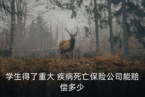 學(xué)生得了重大 疾病死亡保險(xiǎn)公司能賠償多少