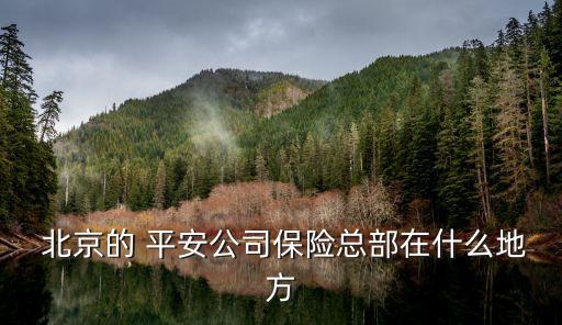 平安北京營業(yè)區(qū)有多少,北京平安大廈幾點營業(yè)到幾點