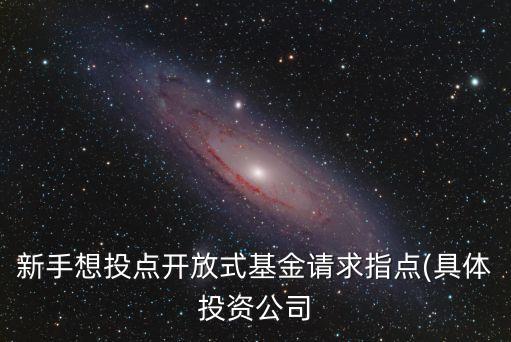 新手想投點開放式基金請求指點(具體投資公司
