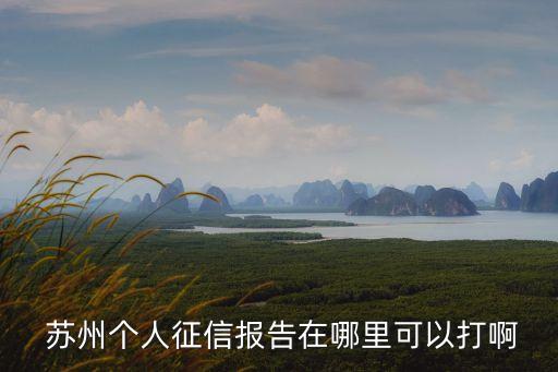  蘇州個(gè)人征信報(bào)告在哪里可以打啊