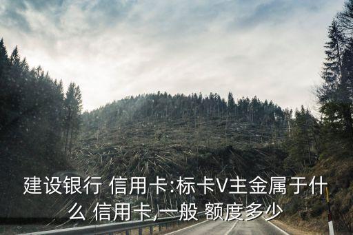 建行的東航信用卡額度一般多少