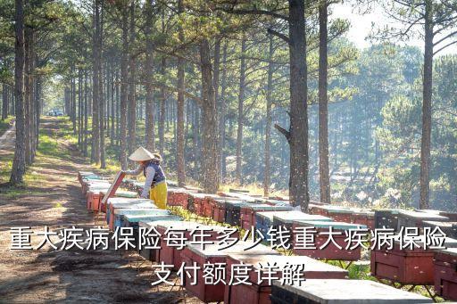 重大疾病保險(xiǎn)每年多少錢(qián)重大疾病保險(xiǎn)支付額度詳解