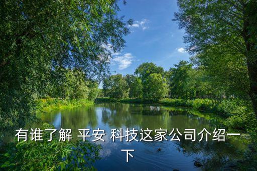 有誰了解 平安 科技這家公司介紹一下