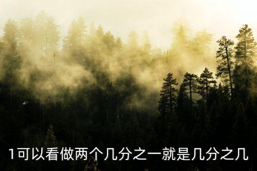 1可以看做兩個幾分之一就是幾分之幾