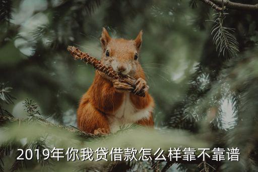 2019年你我貸借款怎么樣靠不靠譜
