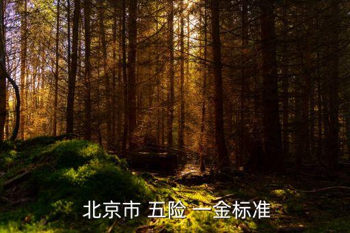 北京五險(xiǎn)一金繳納多少,北京公司繳納五險(xiǎn)一金多少錢