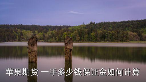 蘋(píng)果期貨 一手多少錢(qián)保證金如何計(jì)算