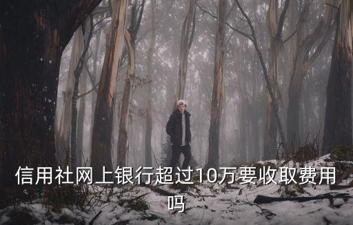 信用社網(wǎng)上銀行超過10萬要收取費用嗎