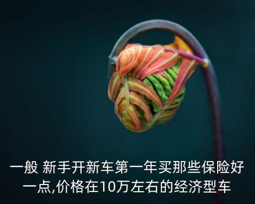 一般 新手開新車第一年買那些保險好一點,價格在10萬左右的經(jīng)濟(jì)型車
