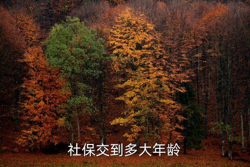 社保交到多大年齡