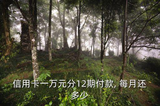 浦發(fā)銀行刷1萬(wàn)分12期每月還多少