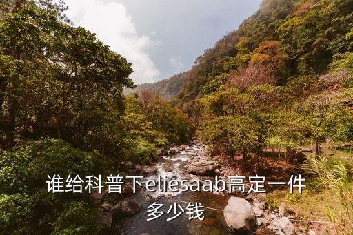 定制美元價格多少錢,安神定志丸價格多少錢