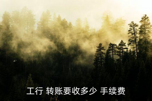 工商手機(jī)銀行加急轉(zhuǎn)賬手續(xù)費(fèi)是多少