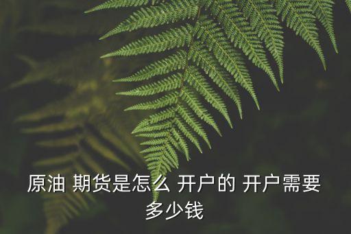 原油 期貨是怎么 開(kāi)戶的 開(kāi)戶需要多少錢