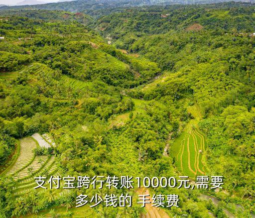  支付寶跨行轉(zhuǎn)賬10000元,需要多少錢的 手續(xù)費