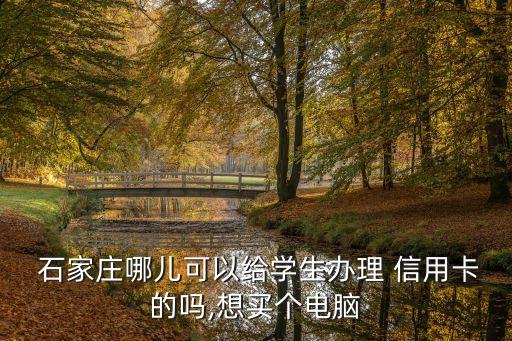  石家莊哪兒可以給學(xué)生辦理 信用卡的嗎,想買(mǎi)個(gè)電腦