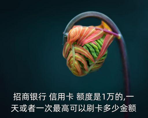 招商銀行 信用卡 額度是1萬的,一天或者一次最高可以刷卡多少金額