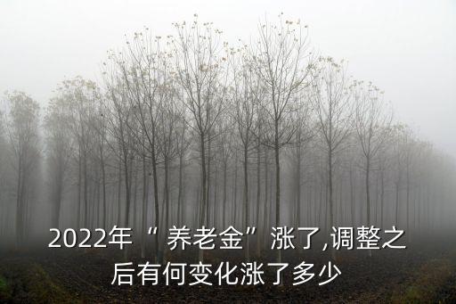 養(yǎng)老金長多少錢一個月,澳大利亞養(yǎng)老金多少錢一個月
