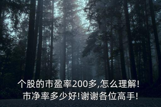 個股的市盈率200多,怎么理解! 市凈率多少好!謝謝各位高手!