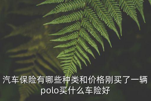 汽車保險有哪些種類和價格剛買了一輛polo買什么車險好