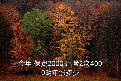 今年 保費2000 出險2次4000明年漲多少