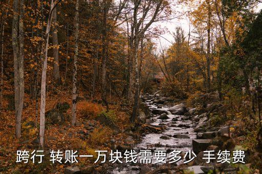 跨行 轉(zhuǎn)賬一萬(wàn)塊錢(qián)需要多少 手續(xù)費(fèi)