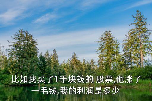 比如我買了1千塊錢的 股票,他漲了一毛錢,我的利潤是多少