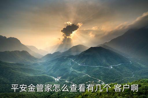  平安金管家怎么查看有幾個 客戶啊