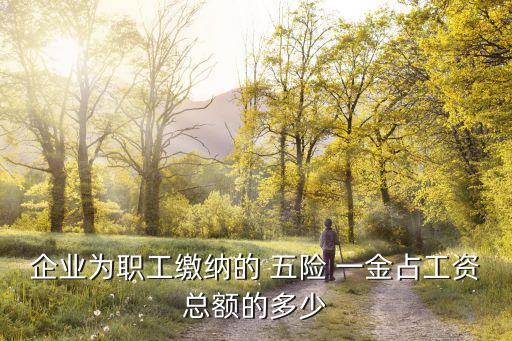 企業(yè)為職工繳納的 五險 一金占工資總額的多少