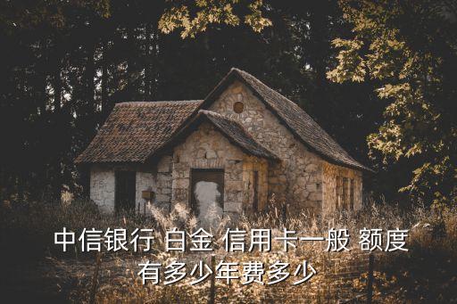  中信銀行 白金 信用卡一般 額度有多少年費(fèi)多少