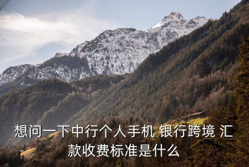 想問一下中行個人手機 銀行跨境 匯款收費標準是什么