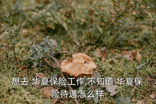 華夏保險(xiǎn)一月工資多少